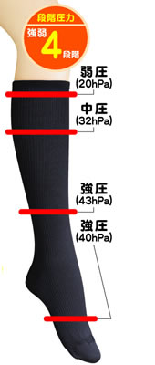 �i�K���͐݌v